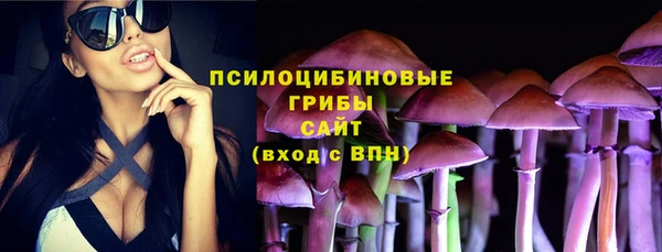 apvp Новодвинск