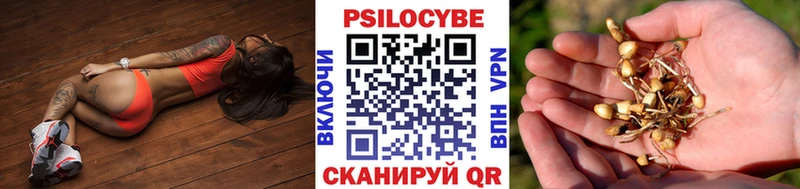 Псилоцибиновые грибы прущие грибы  Купить закладки  Коркино 